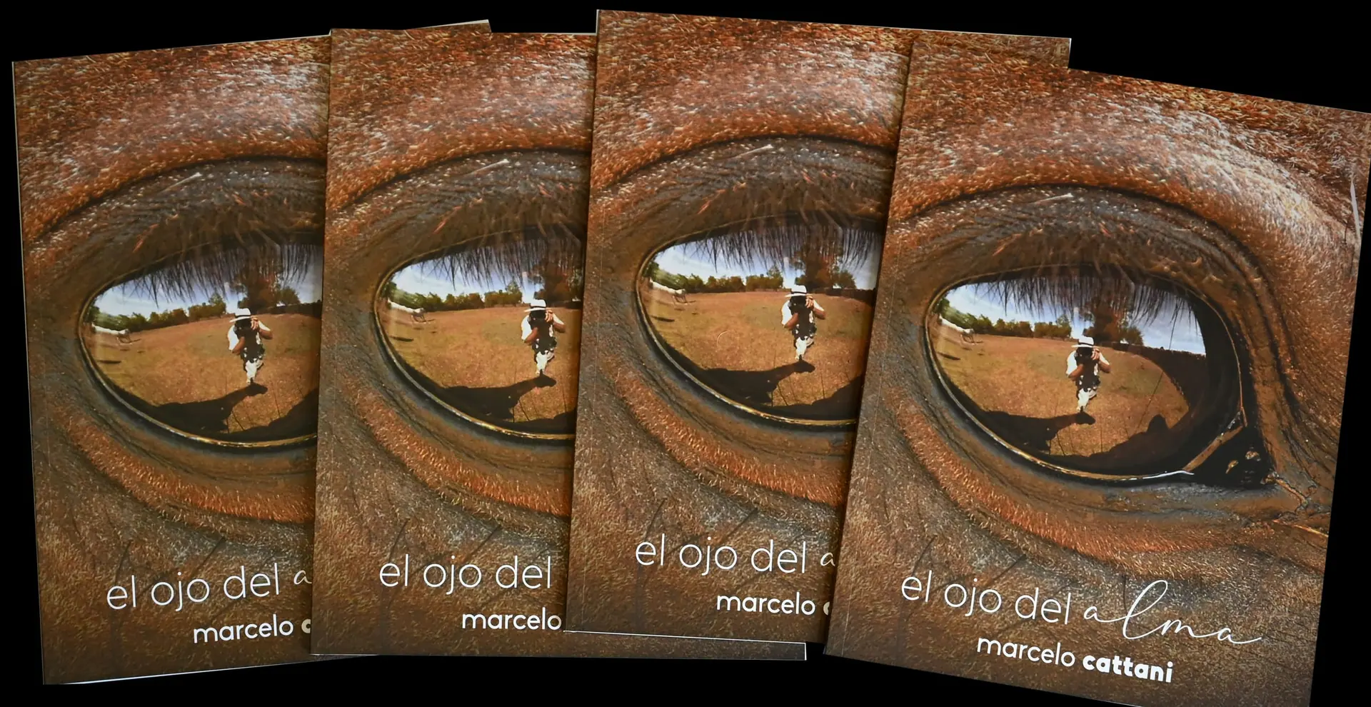 Varios ejemplares del libro El Ojo del Alma, de Marcelo Cattani